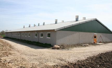 Schweineställe